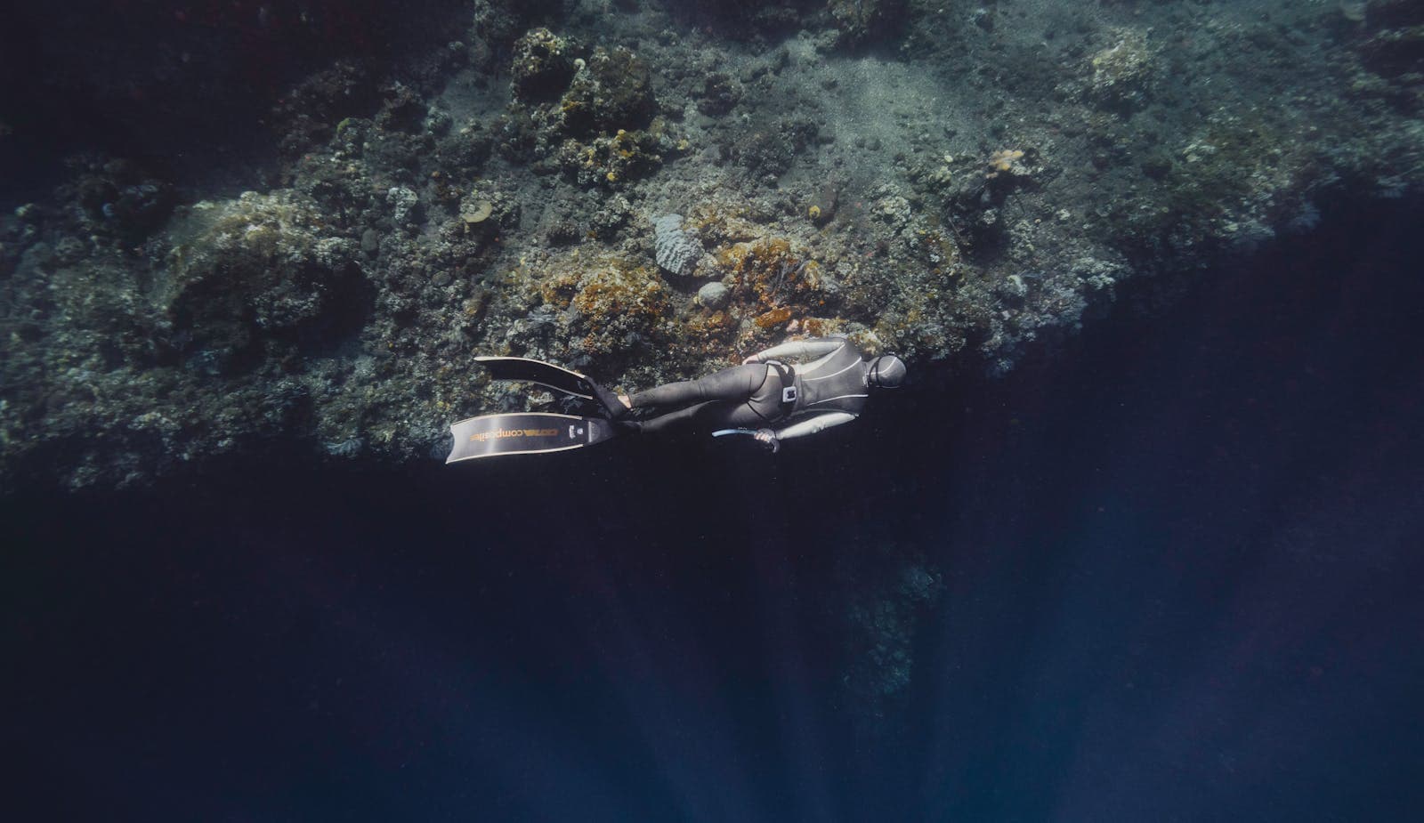 Subnautica 2 sort le 14 mai en accès anticipé : pas de PS5, coop à 4 et un sacré bordel chez Krafton